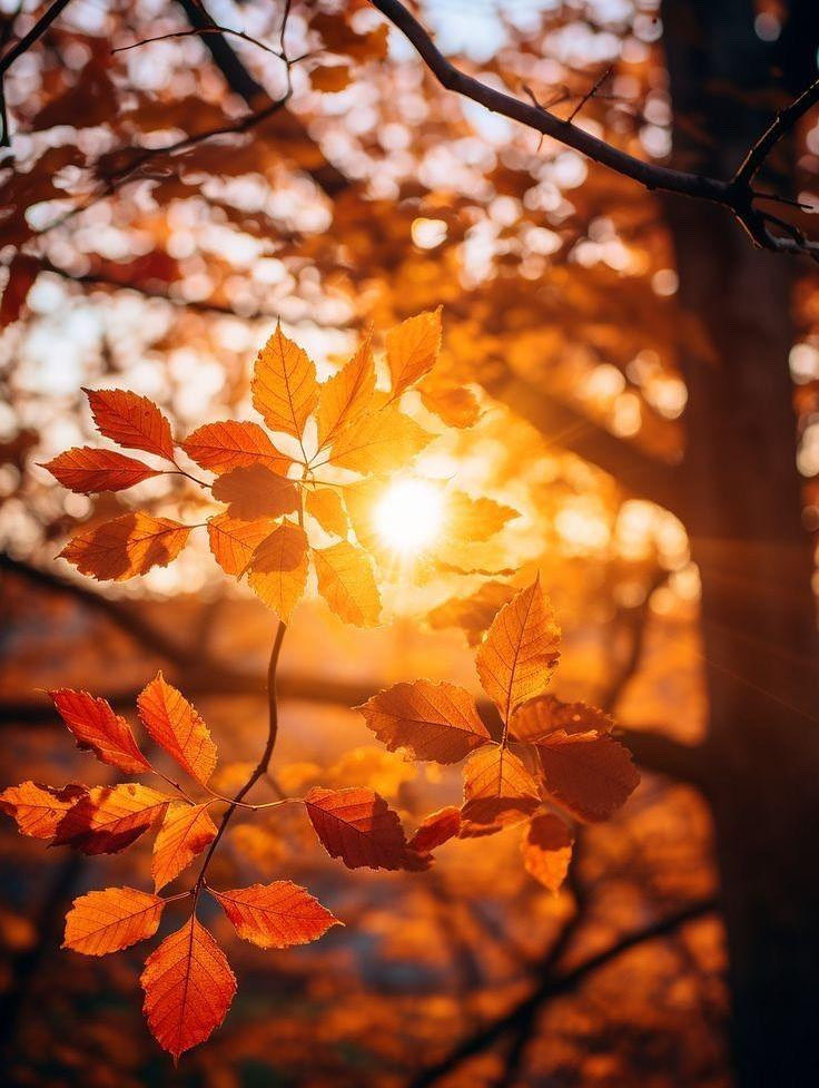 „Peace begins in the heart – where we meet in silence. #quietmagic #heartsconnected #stillness