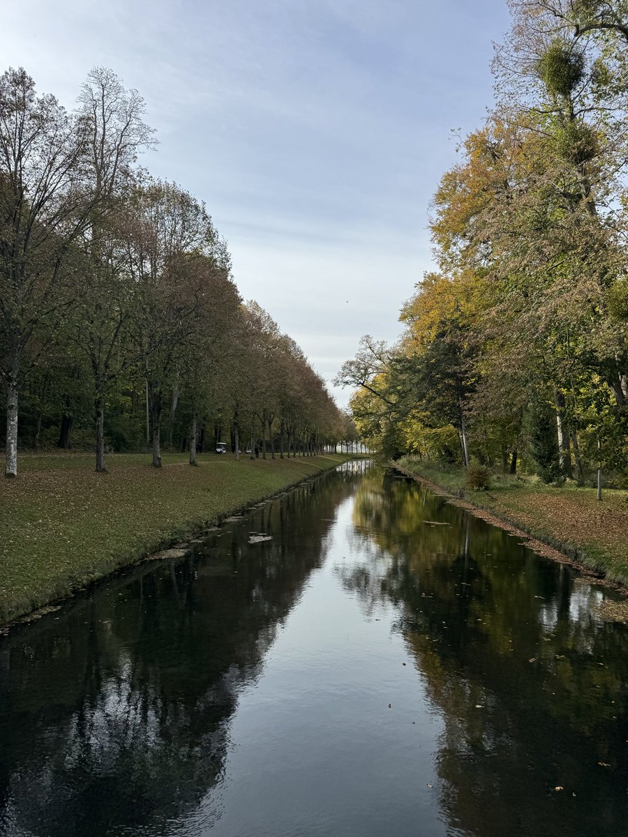 cris 59279 tweet media