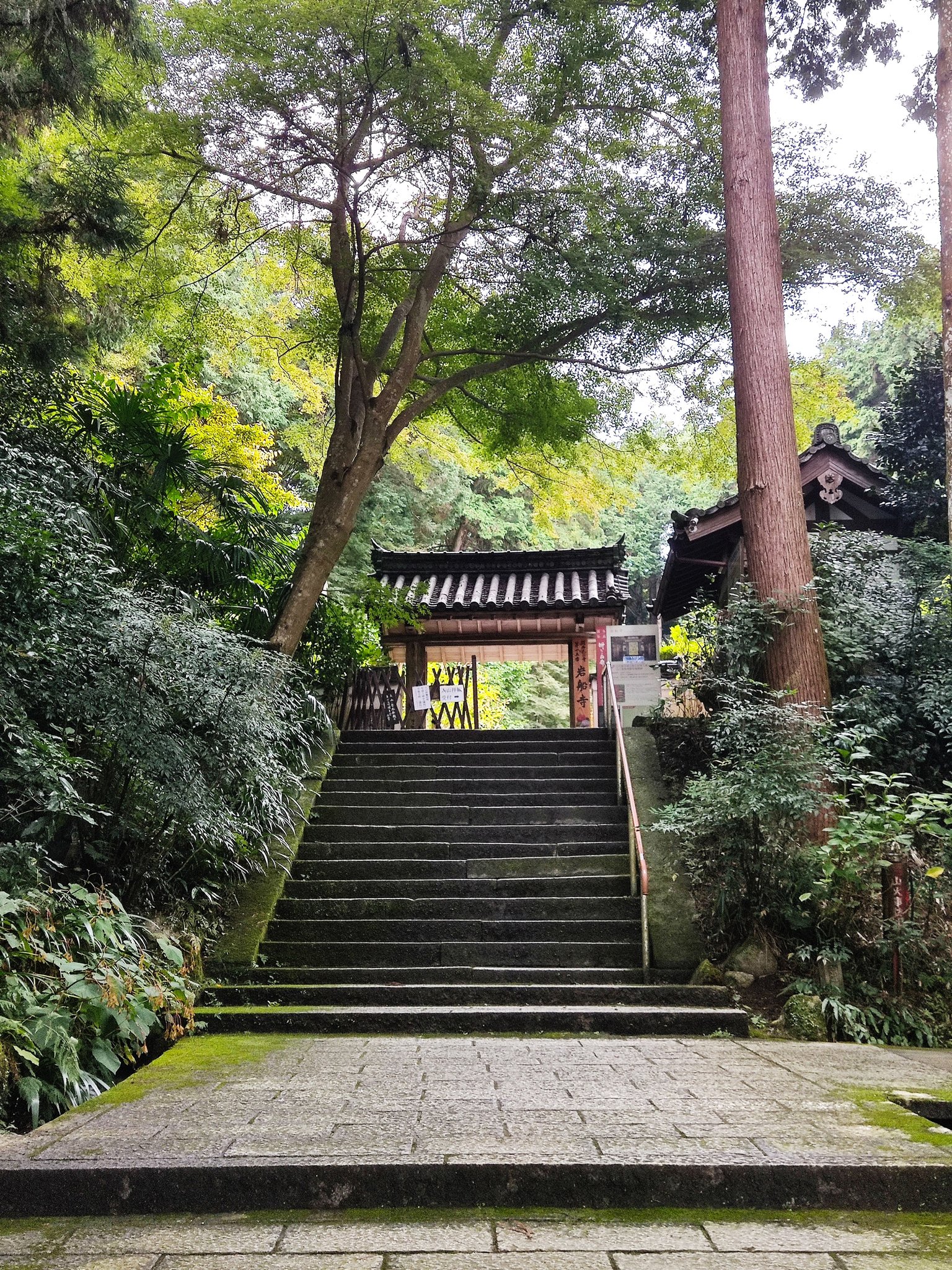 miyam (@kuroneko3nya) / X