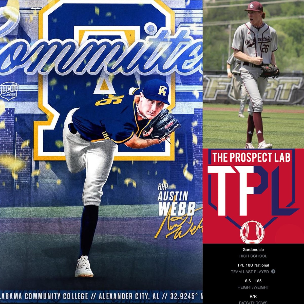 TPL Baseball Development tweet media