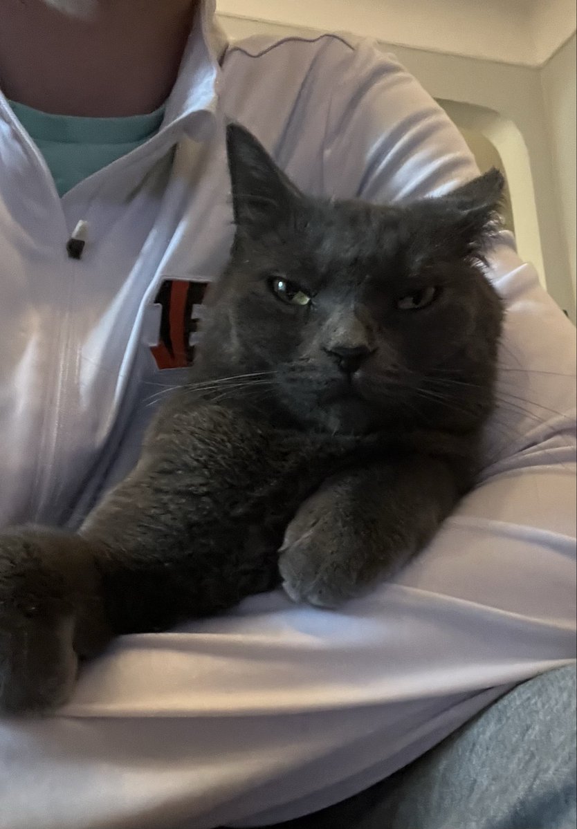 bigcatwhodey513's tweet image. Cersei is not impressed by this London game