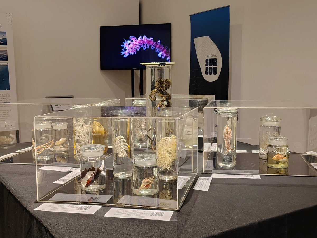 andal13's tweet photo. Quedan 3 días (miércoles, jueves y viernes) para ver la exhibición de parte del material recolectado por la expedición Uruguay Sub 200 en el MNHN. Yo que vos no me la pierdo. https://t.co/VEwvG7Nqs8