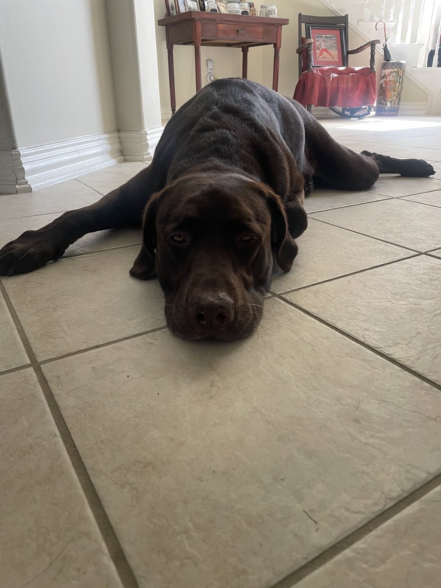 Resting up for a late start <a href="/HoustonTexans/">Houston Texans</a> Monday night game. 🏈<a href="/emilymadelyn_/">emily dear</a>