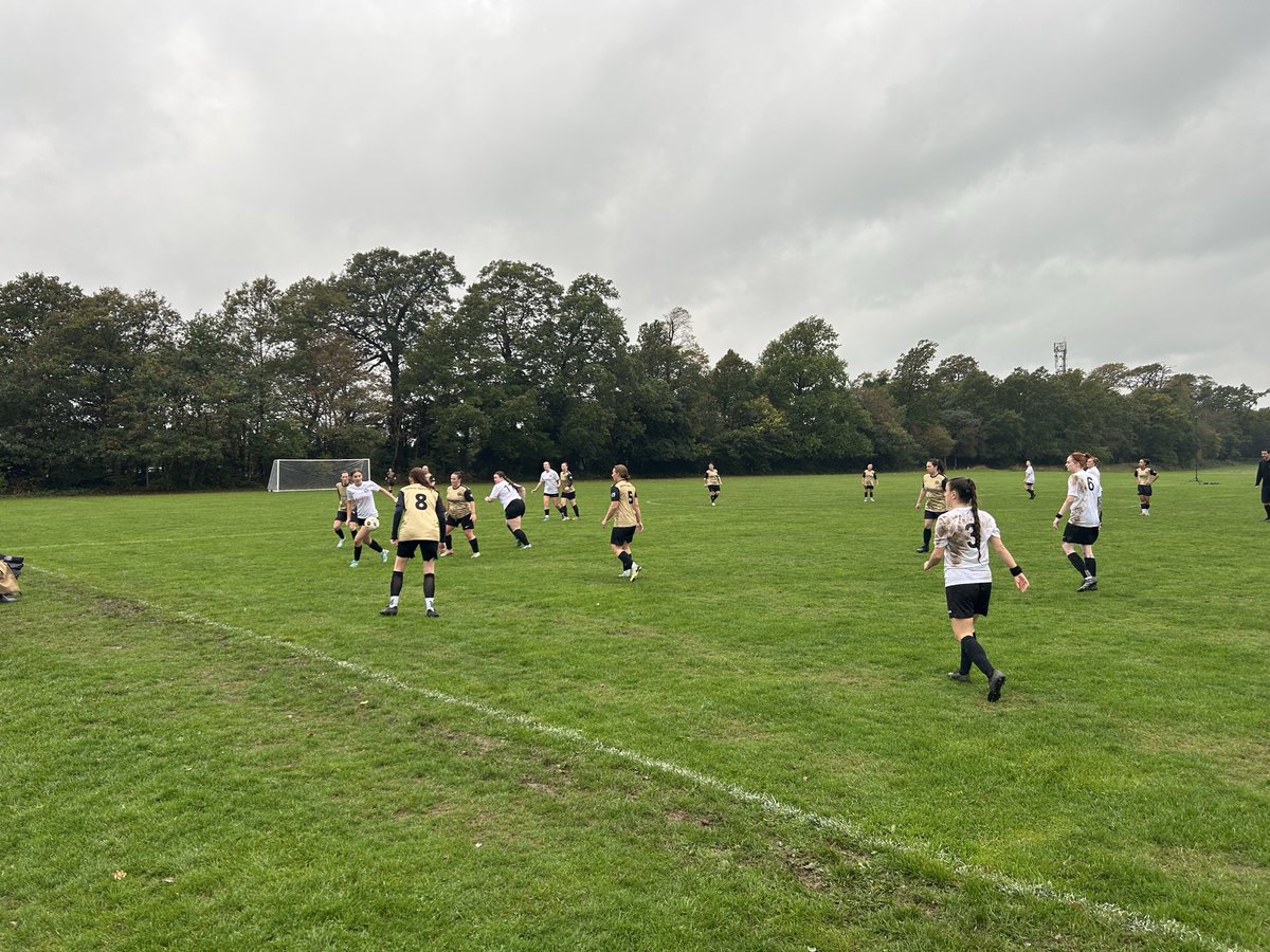 The Terrace Traveller tweet media