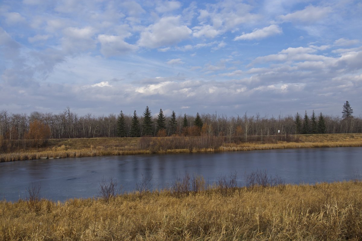 MamoonRina's tweet image. Pylypow wetlands.

#photography #nature #landscapes