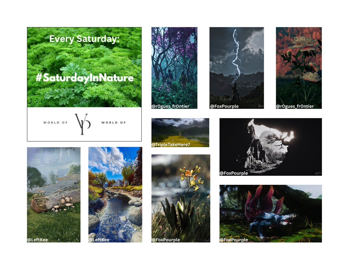 World of VP tweet media