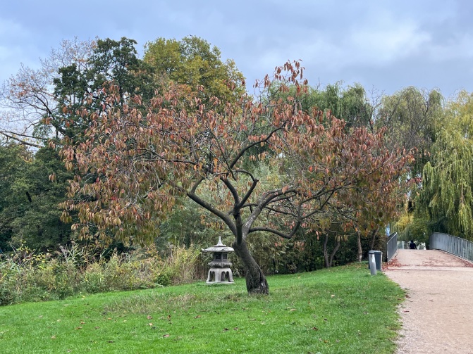Hamburg-Trip vorbei. 😔

Eine schöne Stadt. Aber auch 
ein Bild der Gegensätze:

Vor dem Michel schiebt jemand sein Hab und Gut im Einkaufswagen, während im Hintergrund zwei knallrote Ferraris in eine Seitenstraße abbiegen.

Kennt ihr ähnliche Szenen? Was löst das in euch aus?