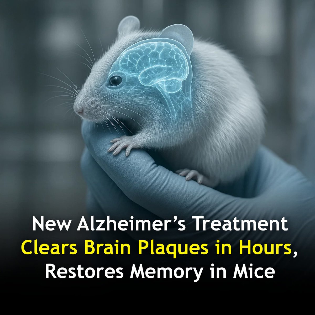 ShiningScience's tweet image. New Alzheimer’s treatment successfully cleared plaques from the brains of mice within just hours, offering a promising new direction for fighting the disease.

In a study led by researchers in China and Spain, scientists injected mice with specially designed nanoparticles that…