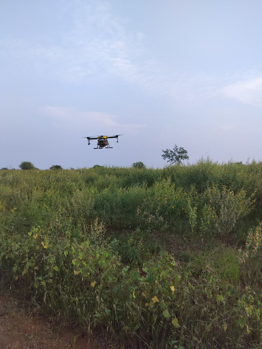 PramodPatil1296's tweet image. आज माझ्या शेतात तूर पिकावर ड्रोनच्या सहाय्याने औषधं फवारणी केली 🚁🌾
या प्रक्रियेमुळे वेळ, मजुरी आणि पाण्याची मोठी बचत झाली. ड्रोनमुळे फवारणी अचूकपणे आणि समान प्रमाणात होते,त्यामुळे कीडनाशक किंवा खताचा अपव्यय होत नाही.
#DroneFarming #SmartAgriculture #तूर #ModernFarming #AgriTech
