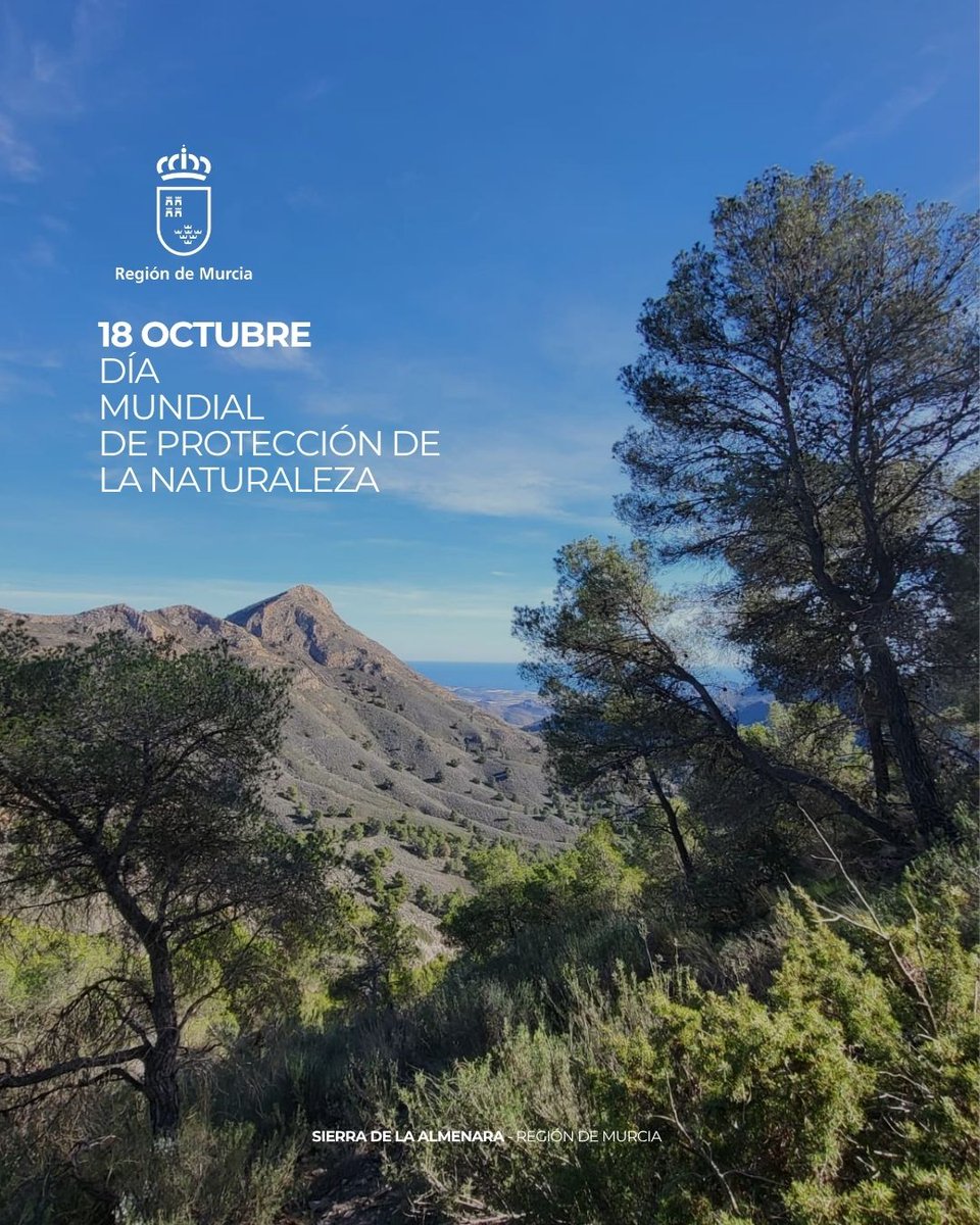 AmbientalRM's tweet photo. 🌱Este fin de semana se han celebrado el #DíaMundialdeProteccióndelaNaturaleza
🤝Proyectos como #ProyectoFLoRE, #LifeLynxConnect, #GREENHEALTH o #SPARTARIA, entre otros, refuerzan el compromiso del Gobierno de la @regiondemurcia con la protección de nuestro patrimonio natural. https://t.co/UUVuoVqMNV