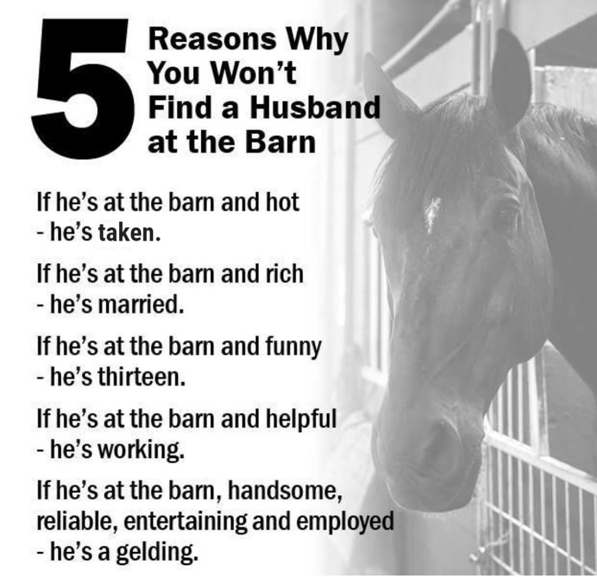 Statelinetack.com (@statelinetack) on Twitter photo 