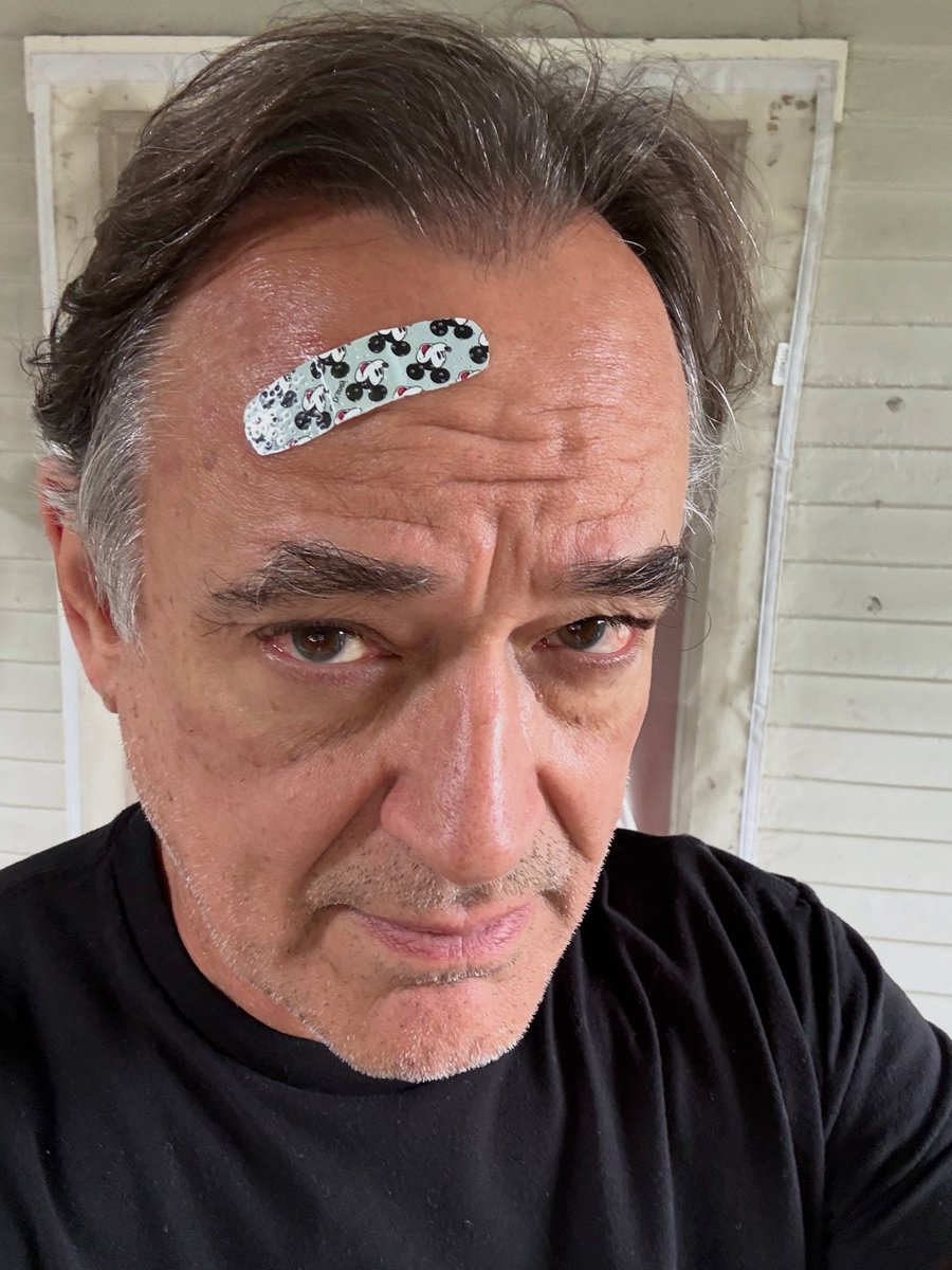 That time I was working in the yard when an unseen, belligerent branch bit me, and this was the only band-aid I had.