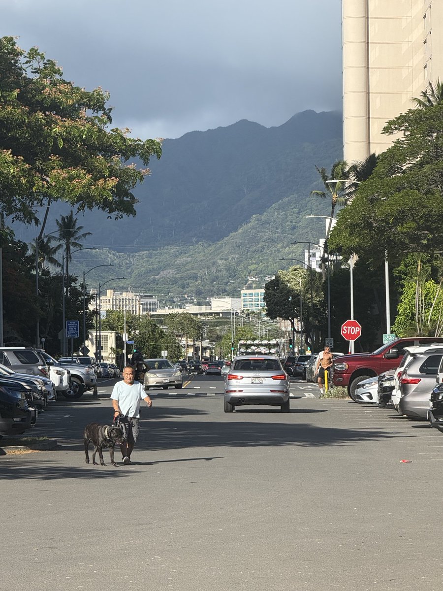cloutonomics's tweet photo. @WallStreetApes i’ve been to hawai’i and the place is beautiful as any other island, however it’s extremely expensive &amp; crowded. waikīkī is literally a walking tourist trap, with heavily marked up stores and restaurants. definitely plan throughly before visiting!! https://t.co/IgcLKGq80S