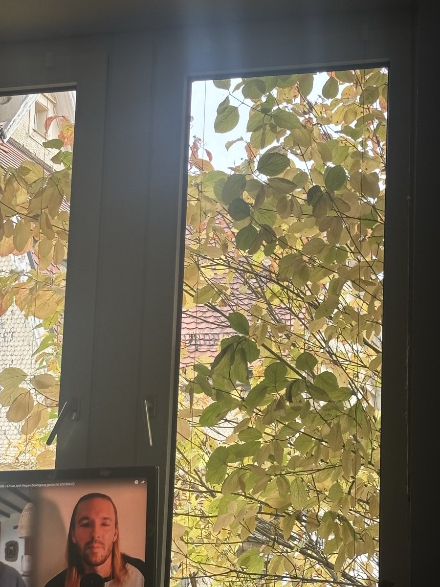 schere's tweet image. Was ein Sonntag