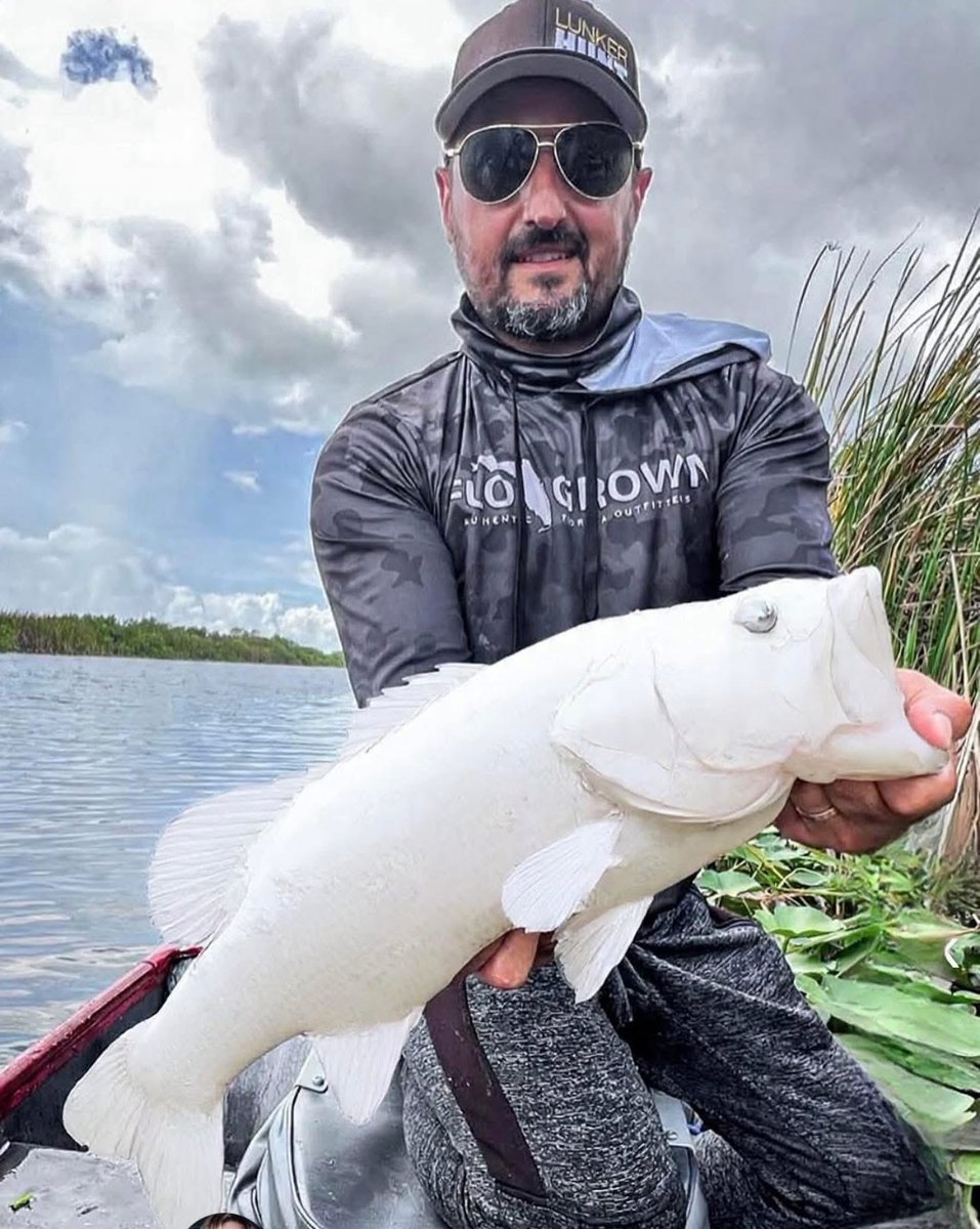 Cloud1a7's tweet photo. Albino bass?  Cant be real. https://t.co/RCglCUg5RN