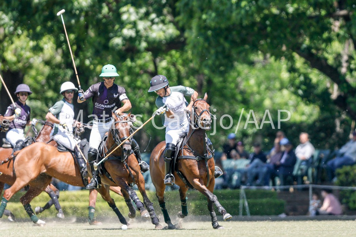 asocdepolo's tweet photo. #85AbTortugas

Final del segundo chukker: La Ensenada Clonargen 3 (Jero del Carril x2 -uno de penal- y Rufino Bensadón), La Hache Cría &amp; Polo 2 (Toly Ulloa y Bauti Bayugar de penal).

📸 @MatCallejo https://t.co/vjKCpGrHd8