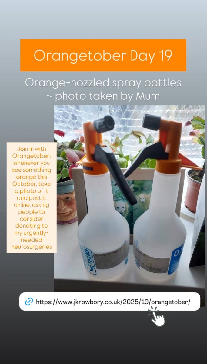 Orangetober Day 19: orange-nozzled spray bottles ~ photo taken by Mum. Join in with Orangetober: whenever you see something orange this October, take a photo of it and post it online, asking people to consider donating to my urgently-needed neurosurgeries:
jkrowbory.co.uk/2025/10/orange…