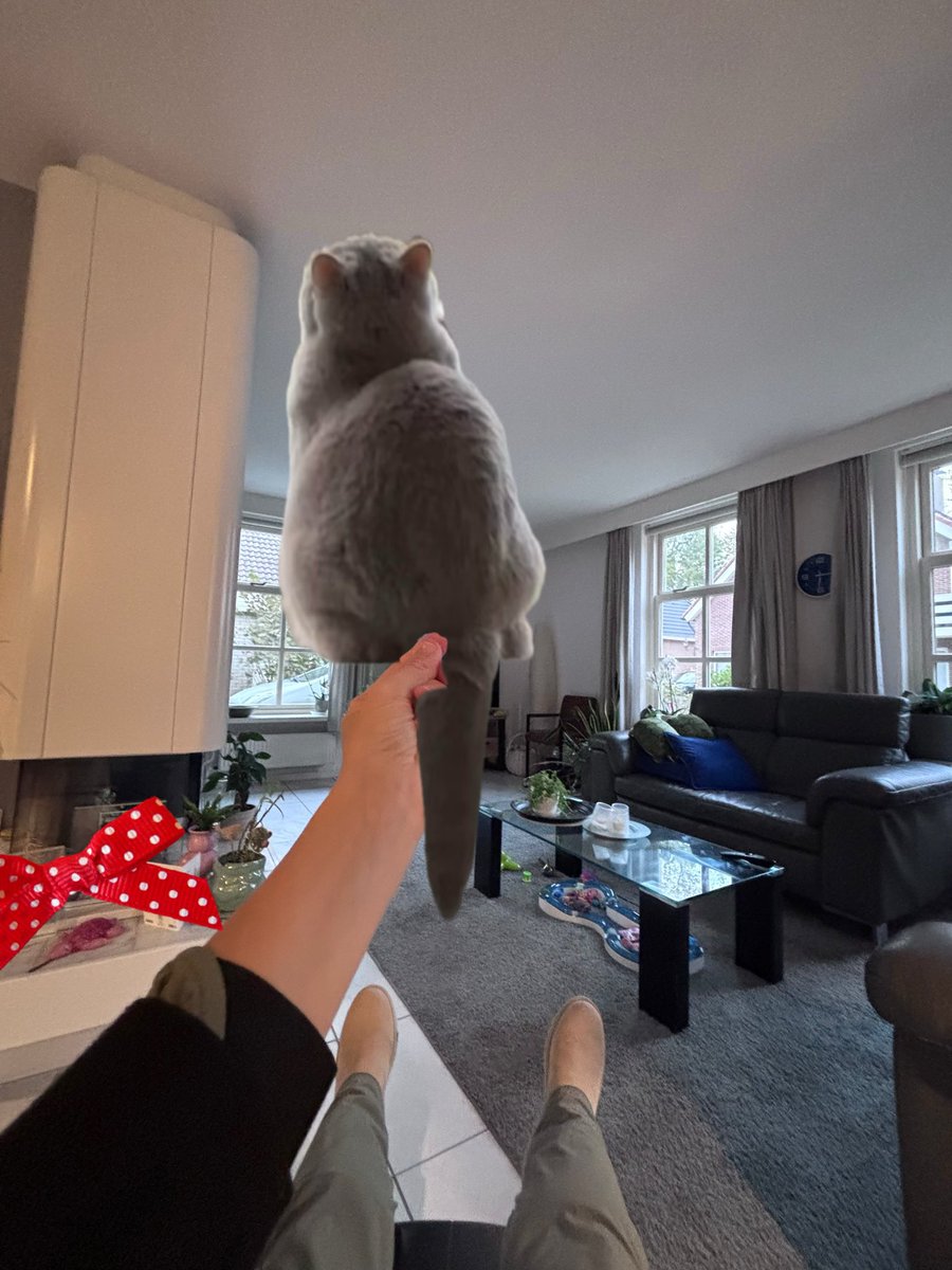 Mijn nieuwe plumeau 😅😂🤣