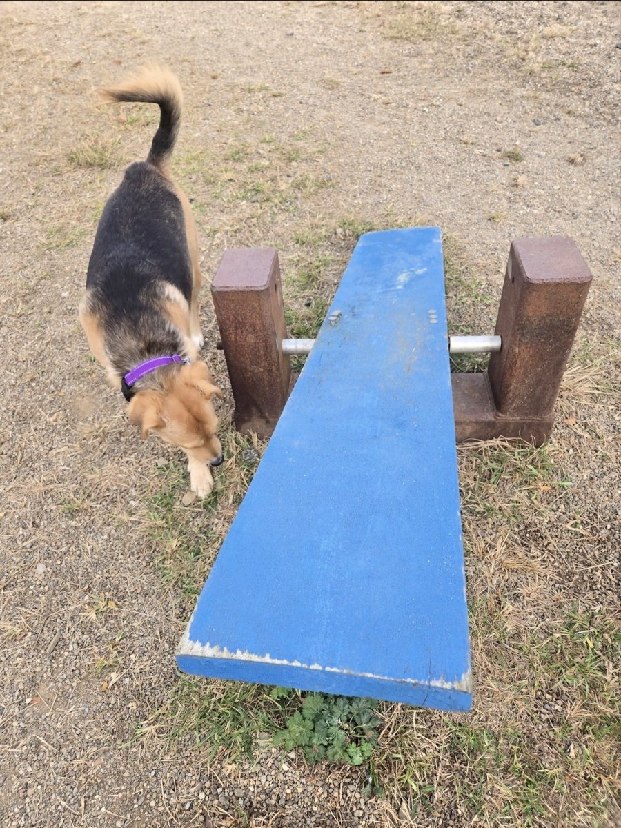 Timothy Johnson tweet media