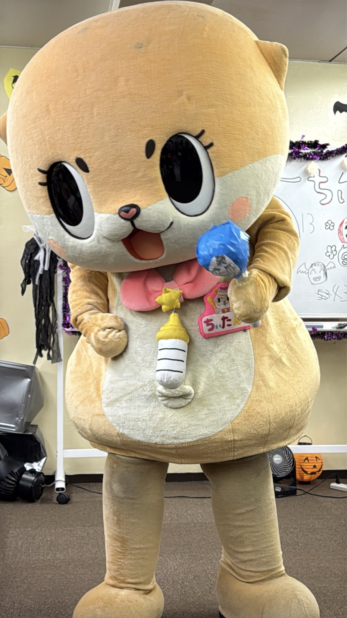 ♥けぃたん様♥ 初めてであれ？ってなった理由【髭男（ヒゲダン）UNOFFICIAL2025