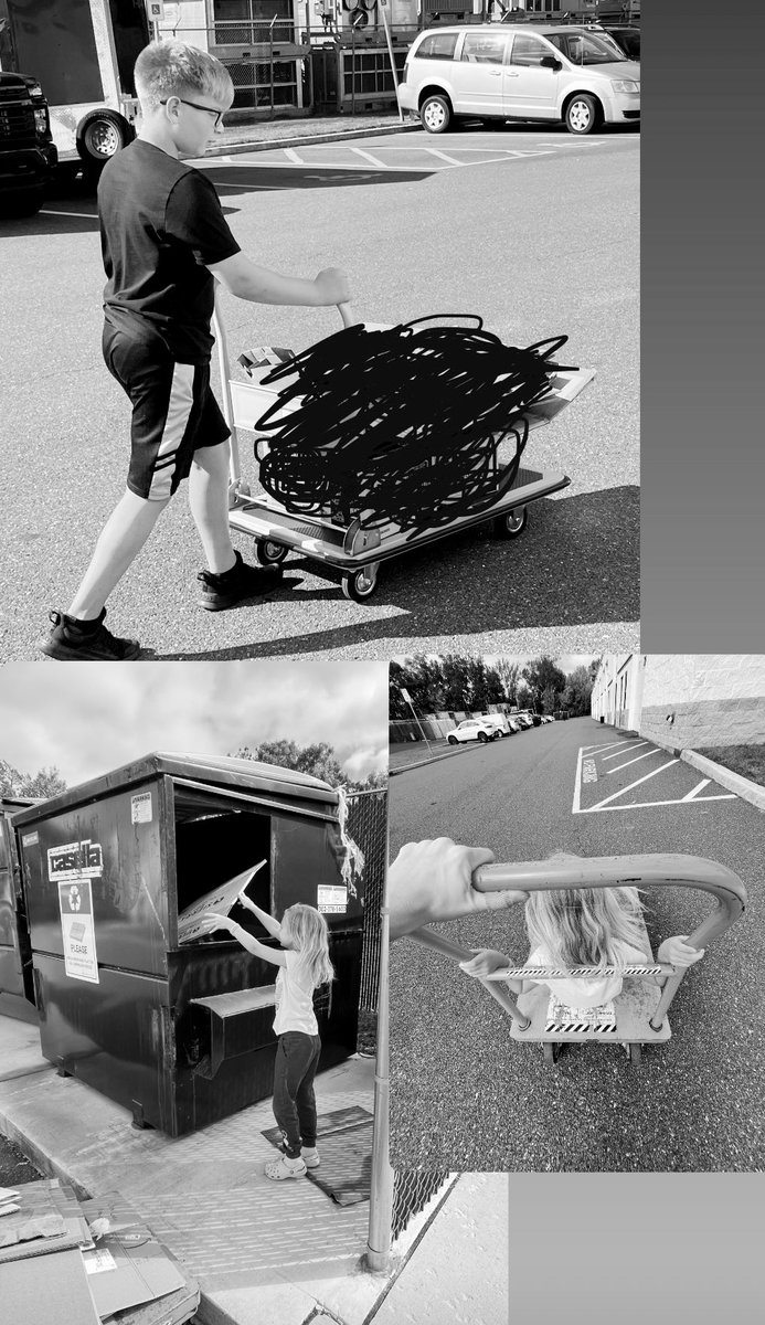 Laura ZTPC tweet media