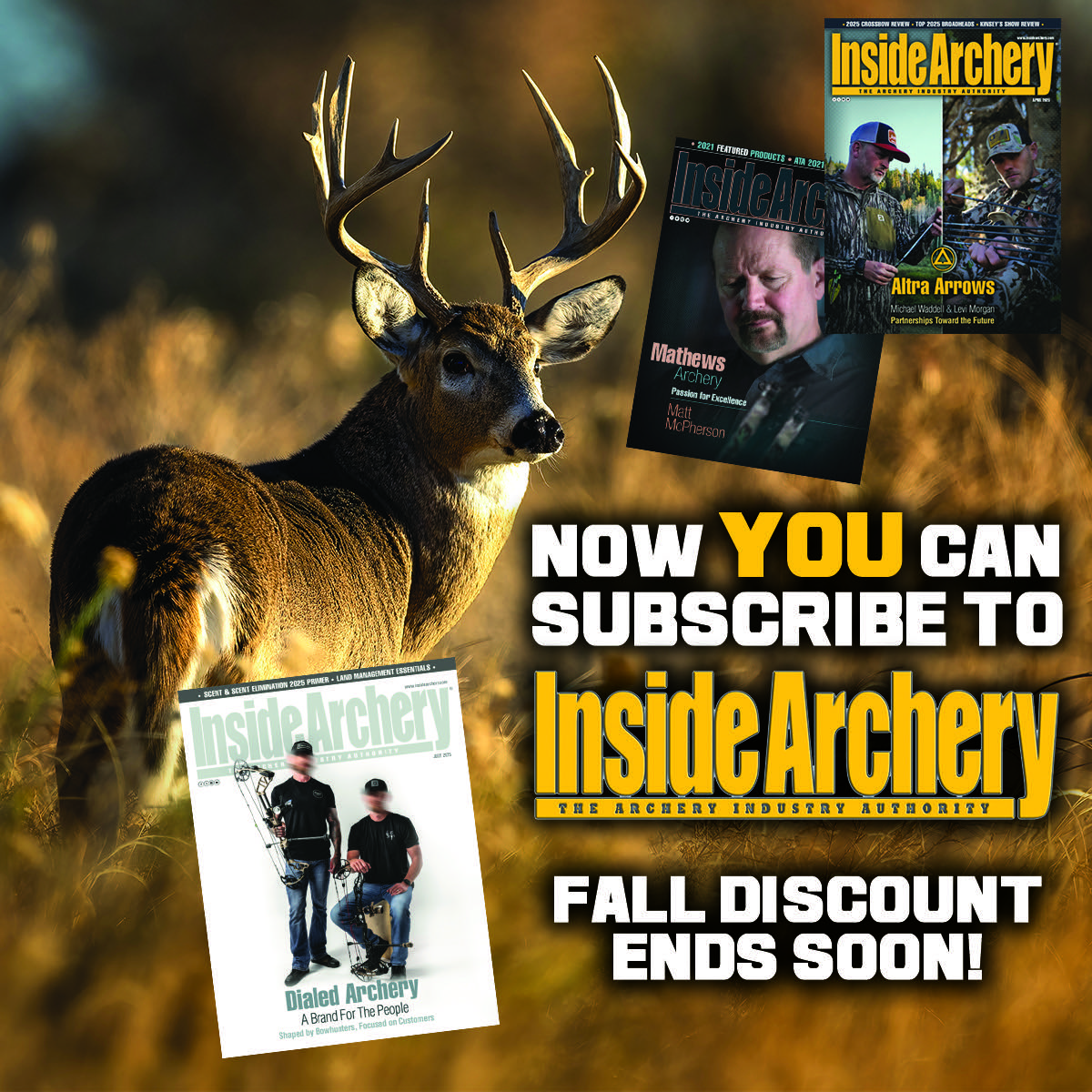 Inside Archery tweet media