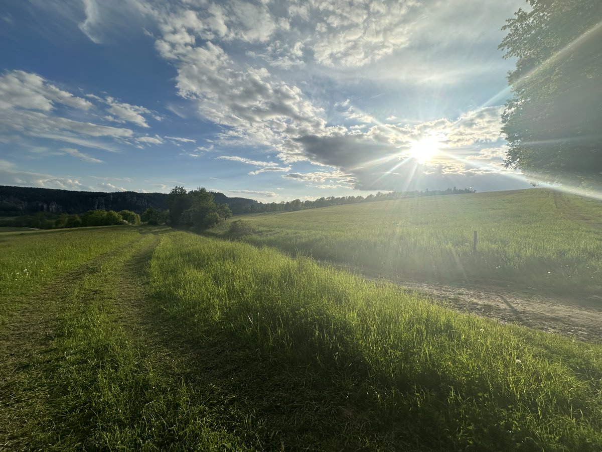 tvtomas's tweet photo. Adršpach volá o pomoc. Adršpašské patří mezi nejkrásnější přírodní poklady ČR. Ádr miluji a lezu tam už přes 40 let. Teď, v již tak velmi vytíženém místě chtějí  developeři postavit hotel pro 400+ lidí. Proto místní sepsali petici a prosí o podporu. Díky.
https://t.co/wOb2ZpMSzG https://t.co/EAfEWq4xIM