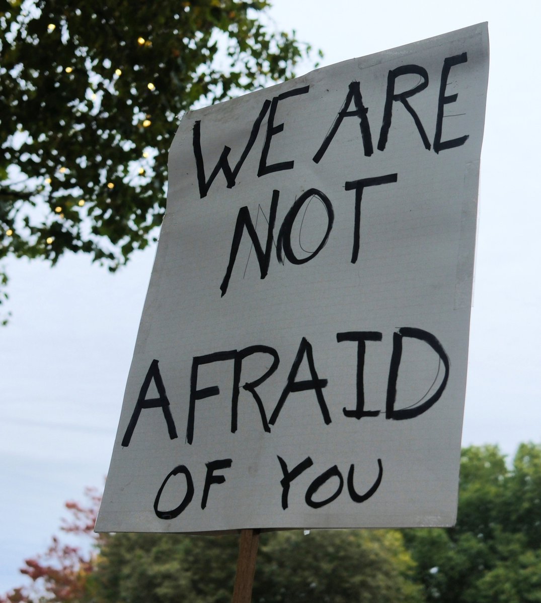 Seen in Seattle on October 18. No Kings.