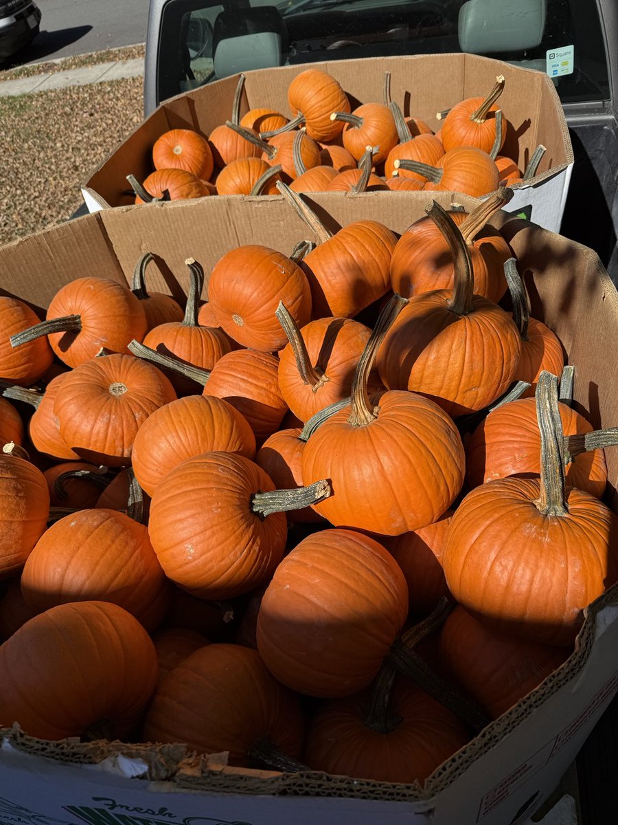 Going orange for today’s South Run Oaks Fall Fest. Big thanks to sponsors Ben &amp; Erin Neilsen from ⁦⁦<a href="/BensSkylineAuto/">Ben Nielsen's Skyline Automotive</a>⁩ Donations go to childhood cancer research trials.
