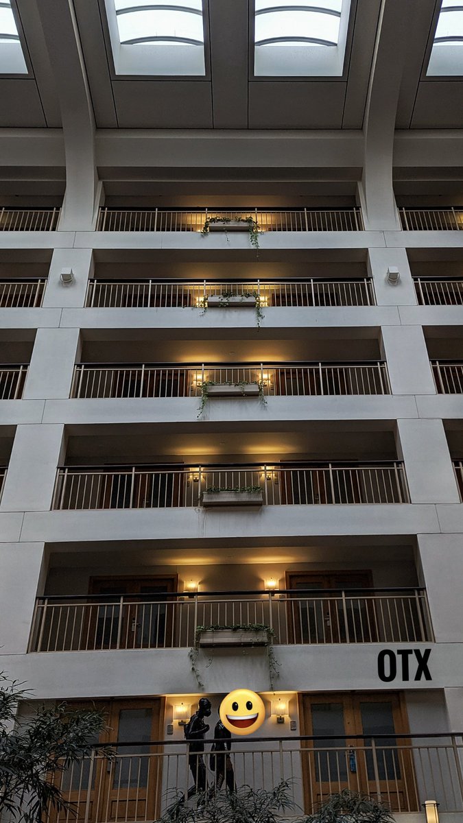 Accidental Renaissance? 🤔

MIR 2026