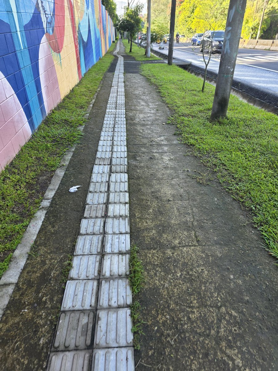 avolevan81's tweet image. En época de lluvia, tengan cuidado al caminar o correr por esta acera de la Jerusalén, se llena de musgo y se pone super lisa. Sólo se puede caminar sobre las baldozas guías para ciegos. 
Correcto, casi me voy de culantro.