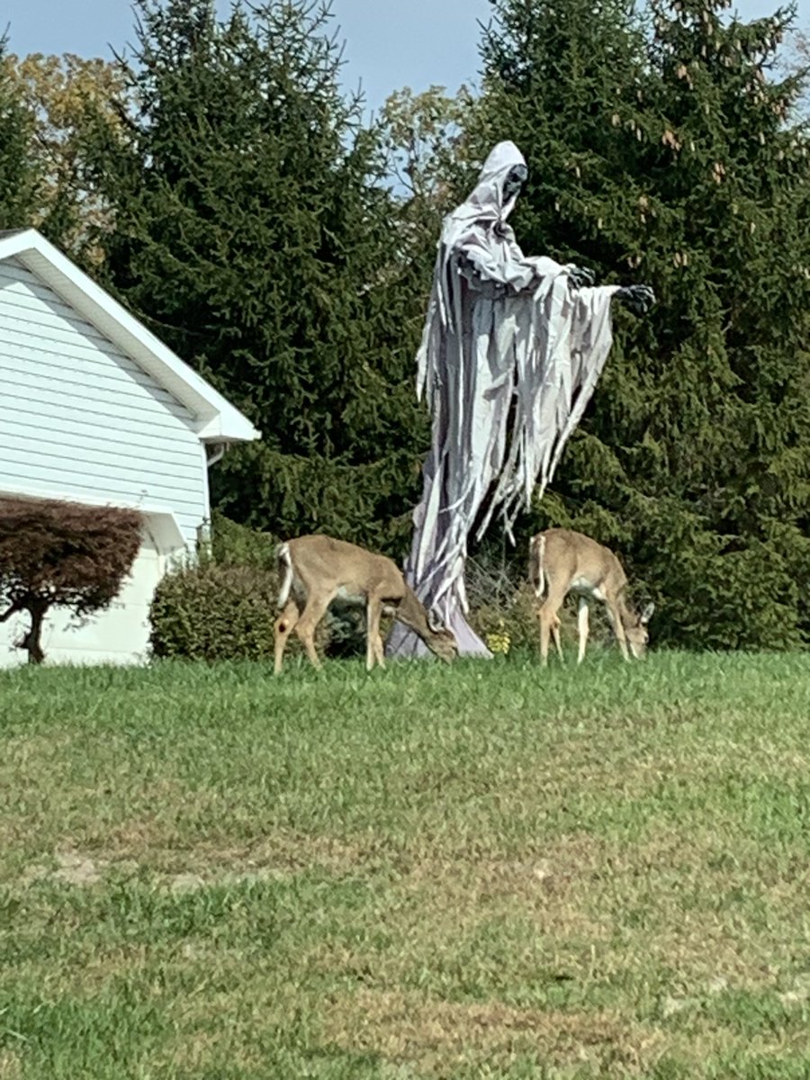 killuwithmymind's tweet photo. Have you ever seen something as beautiful as Pennsylvania https://t.co/lh8QLvWYKP