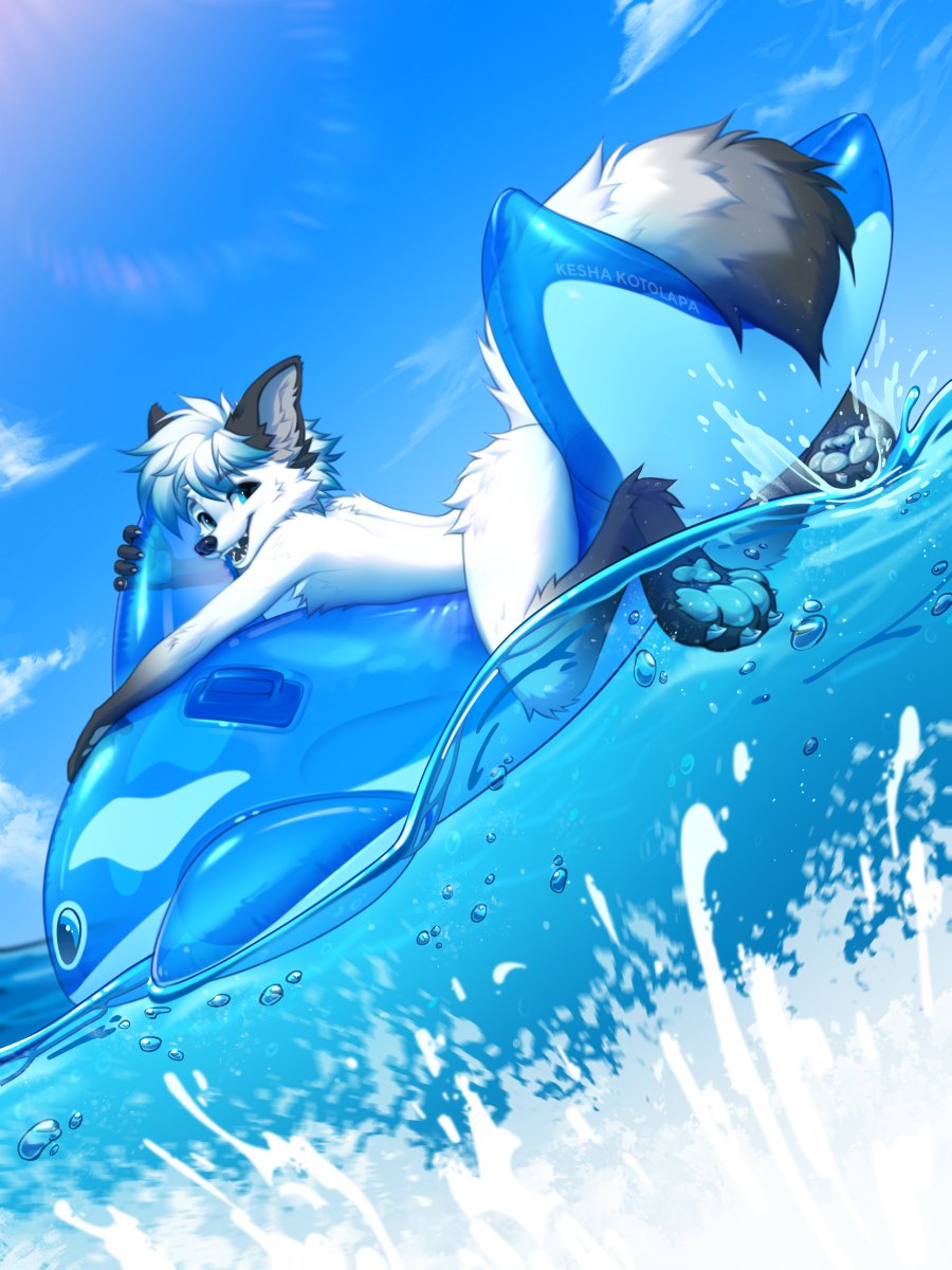 Bringing summer back to you for a moment 🏖 Enjoy! 🐬💦