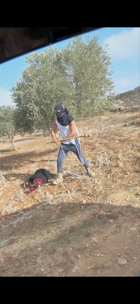 AbujomaaGaza's tweet image. zionist Israeli jewish settler attack and beat a Palestinian woman in the occupied West Bank.. Does it make sense to Trump?!