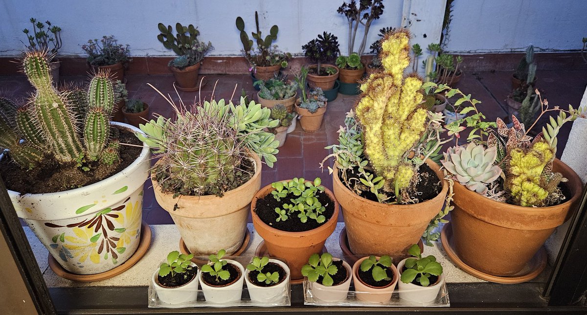 Para conseguir algo, hay que saber insistir a tiempo y a destiempo #sanjuandedios #sjdreflexión #humanización