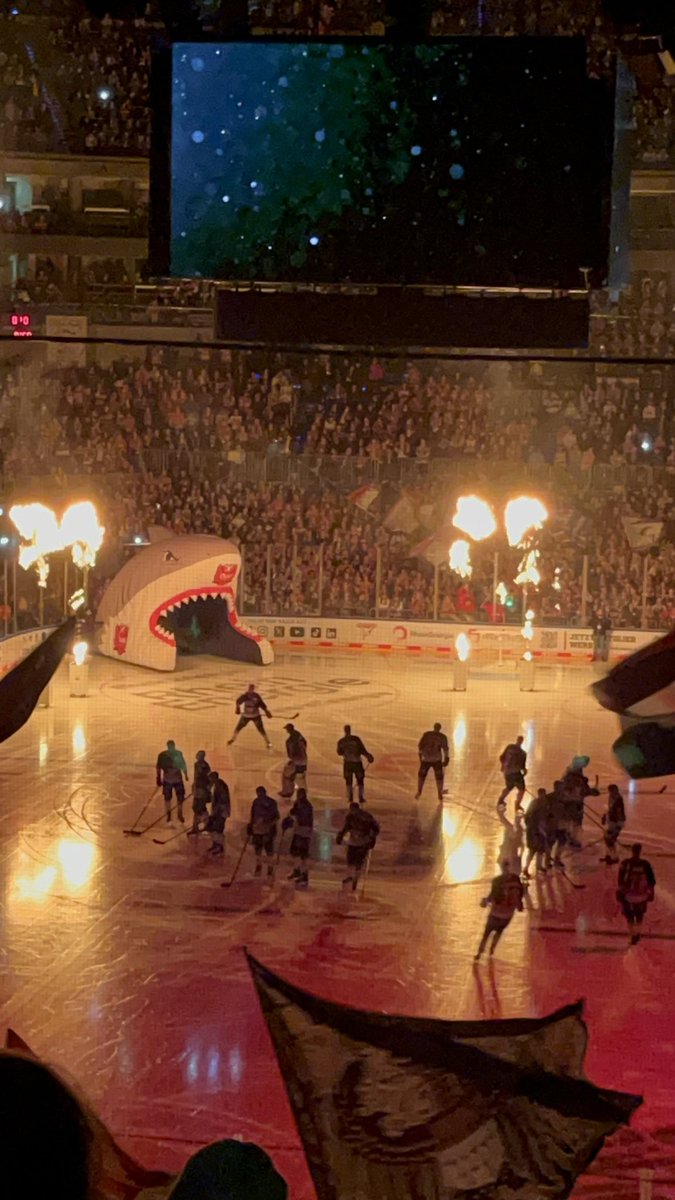 Spannung pur! #kölnerhaie #Haie #Köln <a href="/Koelner_Haie_72/">Kölner Haie</a>