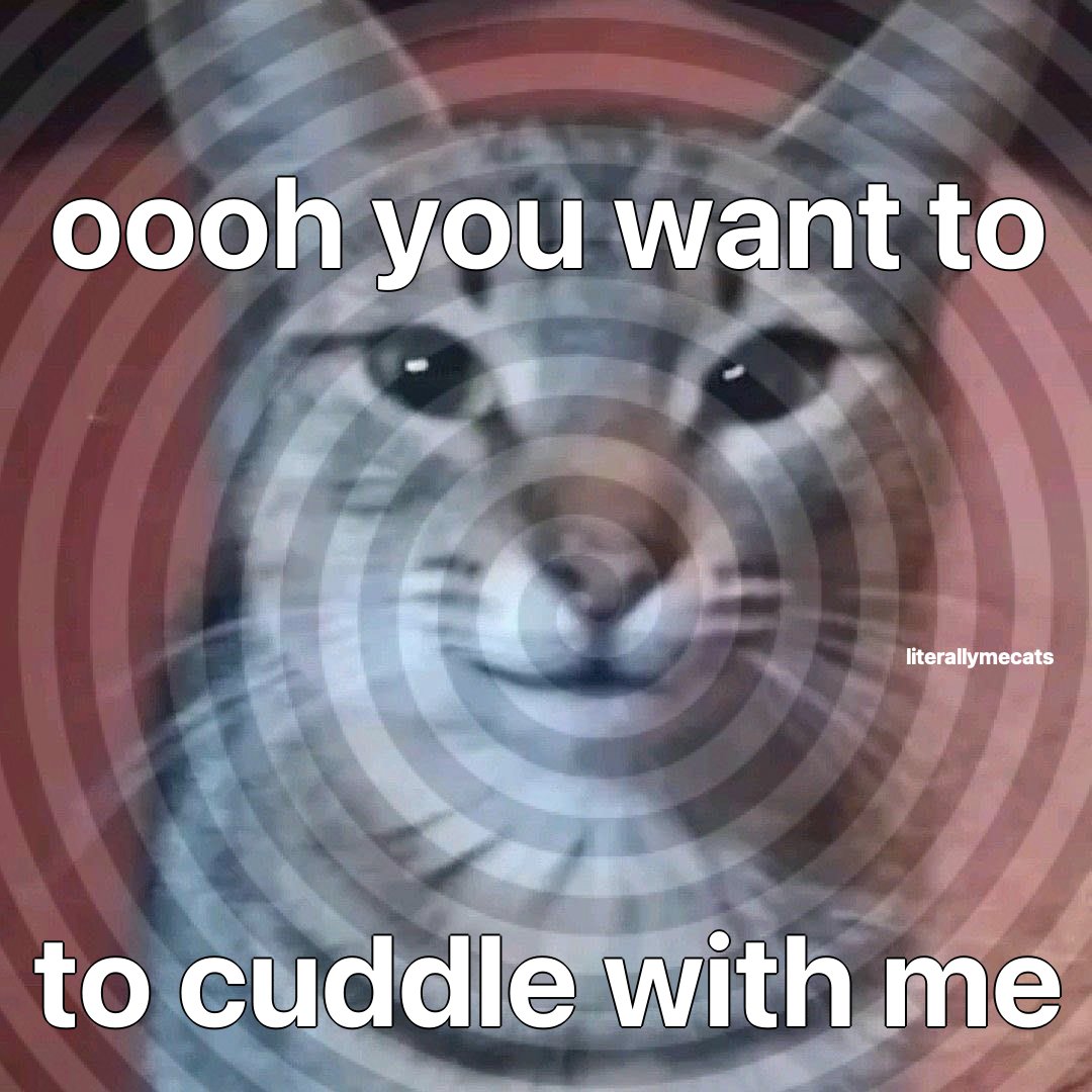 literallymecats's tweet image. 