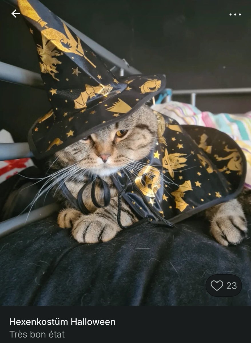 ClarisseLce's tweet photo. Hilarant les animaux mannequin 😭😭

#Halloween #Vinted #animaux https://t.co/e7QNAKE3m9