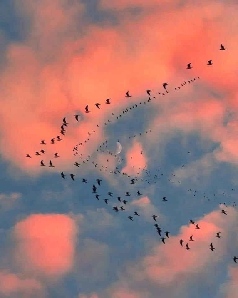 Sylvia ✨ (@sylvia8370) on Twitter photo 