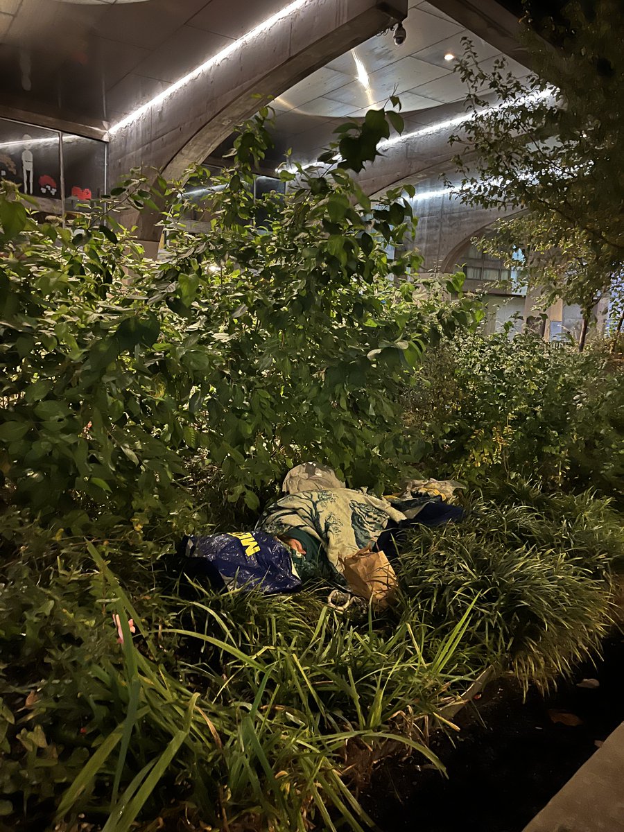 ça fait partie de la campagne d'Hidalgo au poste de HCR cette mutiplication des camps de migrants dans Paris Centre? Choqué de voir ce dimanche soir une jeune femme dormir sur un terre plein infesté de rats de la Rue du Renard, devant école St Merri... à 200m de l'hôtel de ville