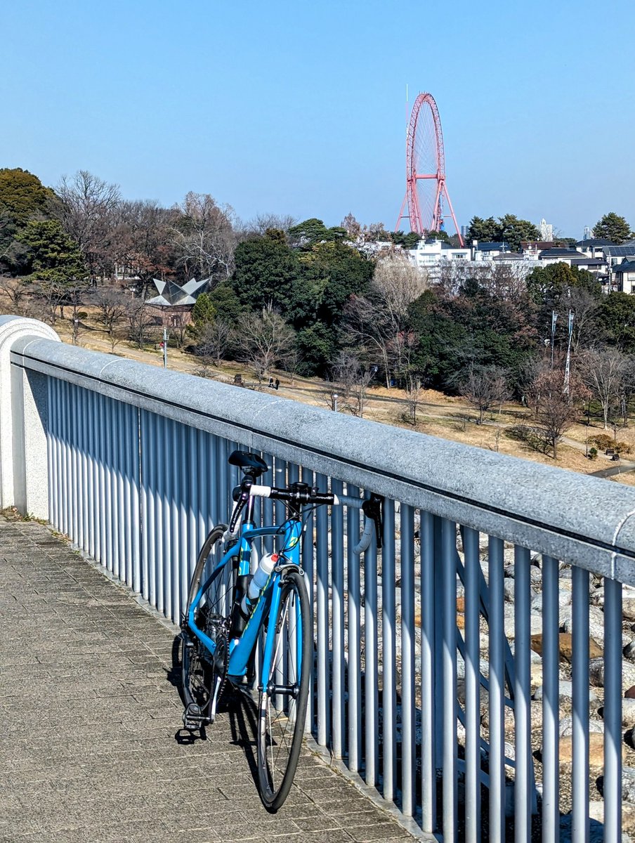 10連休の最終日は雨のスタートです。
若い頃は「スパで1日中過ごそう！」とかやってましたがそれすら疲れる。
さて、懐かしの光景ですね。すでにゴンドラが取り外されてます。ライド中に見ると「帰ってきたなあ」という気がしたものです。
皆さんおはようございます。

2023年12月29日　西武園の観覧車
