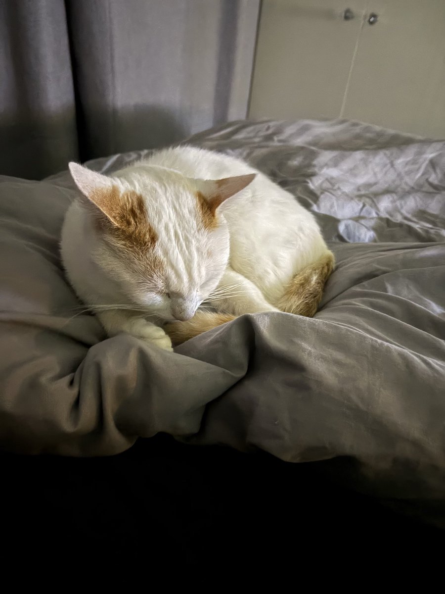 The rain has ruined his plans