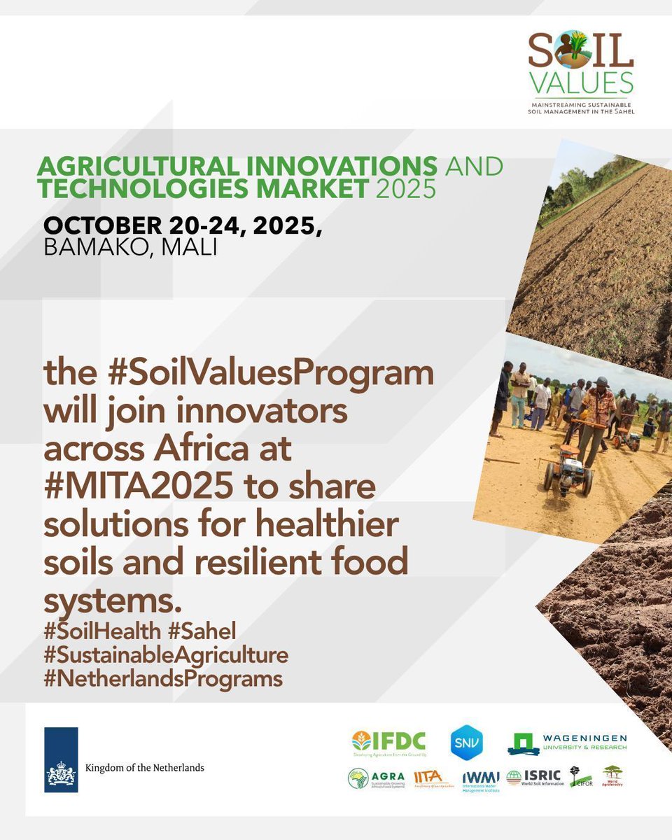 Notre #SoilValuesProgram est aux côtés des innovateurs de toute l'Afrique pour le #MITA2025. ça démarre le 20 Octobre à Bamako! Nous partagerons des solutions pour des sols plus sains et des systèmes alimentaires résilients.
#SantéDesSols #Sahel #AgricultureDurable
<a href="/IFDCGlobal/">IFDC</a>