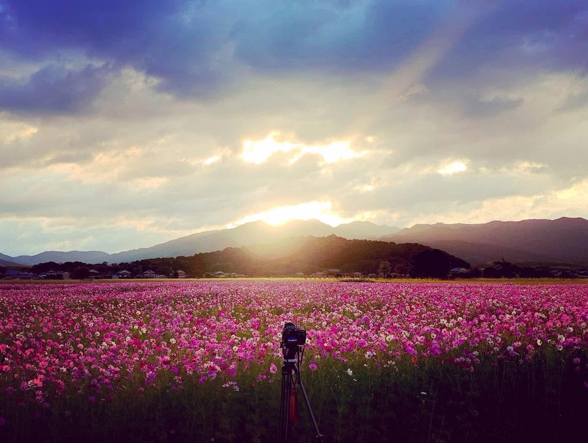 ぼんちきよし on X