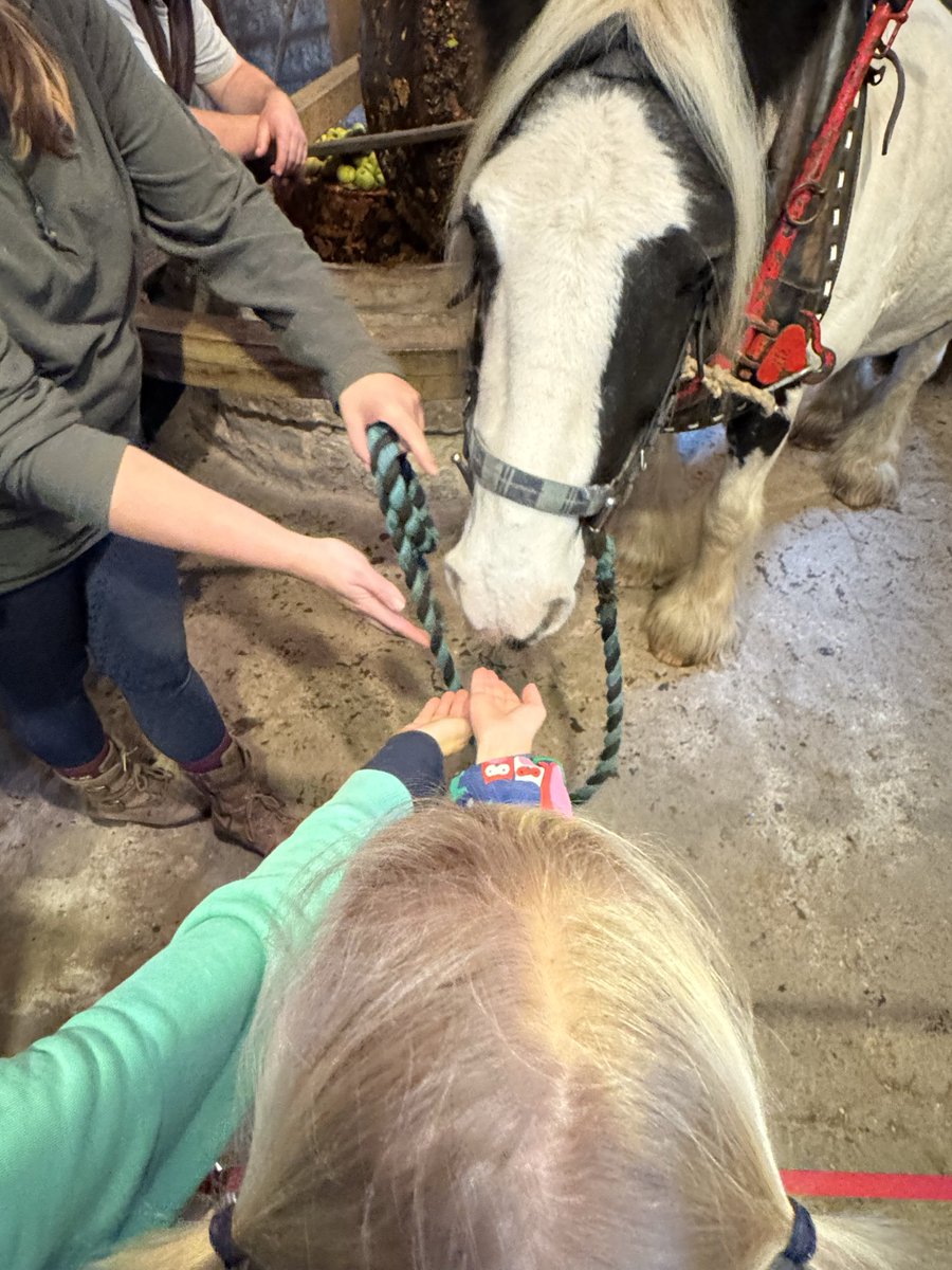 Matt Cass tweet media