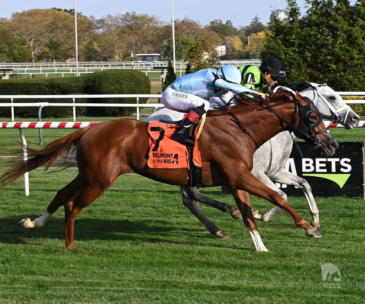 nytbreeders's tweet image. Out On Bail made the most of his return to the Empire State! Matthew Nestor bred the @rockridgestud-born sophomore, who just edged a son of @Buccherostud in the Carle Place. @JRosarioJockey up for @trainerMMaker, Chambers, Paradise, Staudacher. Full story: tinyurl.com/c2fyh3sh