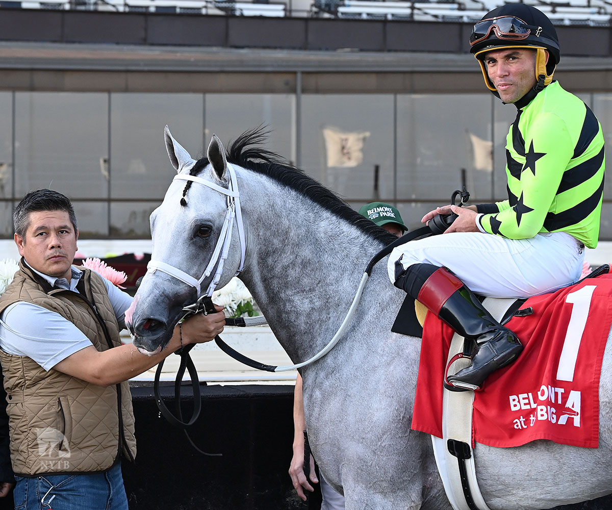 nytbreeders's tweet image. Out On Bail made the most of his return to the Empire State! Matthew Nestor bred the @rockridgestud-born sophomore, who just edged a son of @Buccherostud in the Carle Place. @JRosarioJockey up for @trainerMMaker, Chambers, Paradise, Staudacher. Full story: tinyurl.com/c2fyh3sh