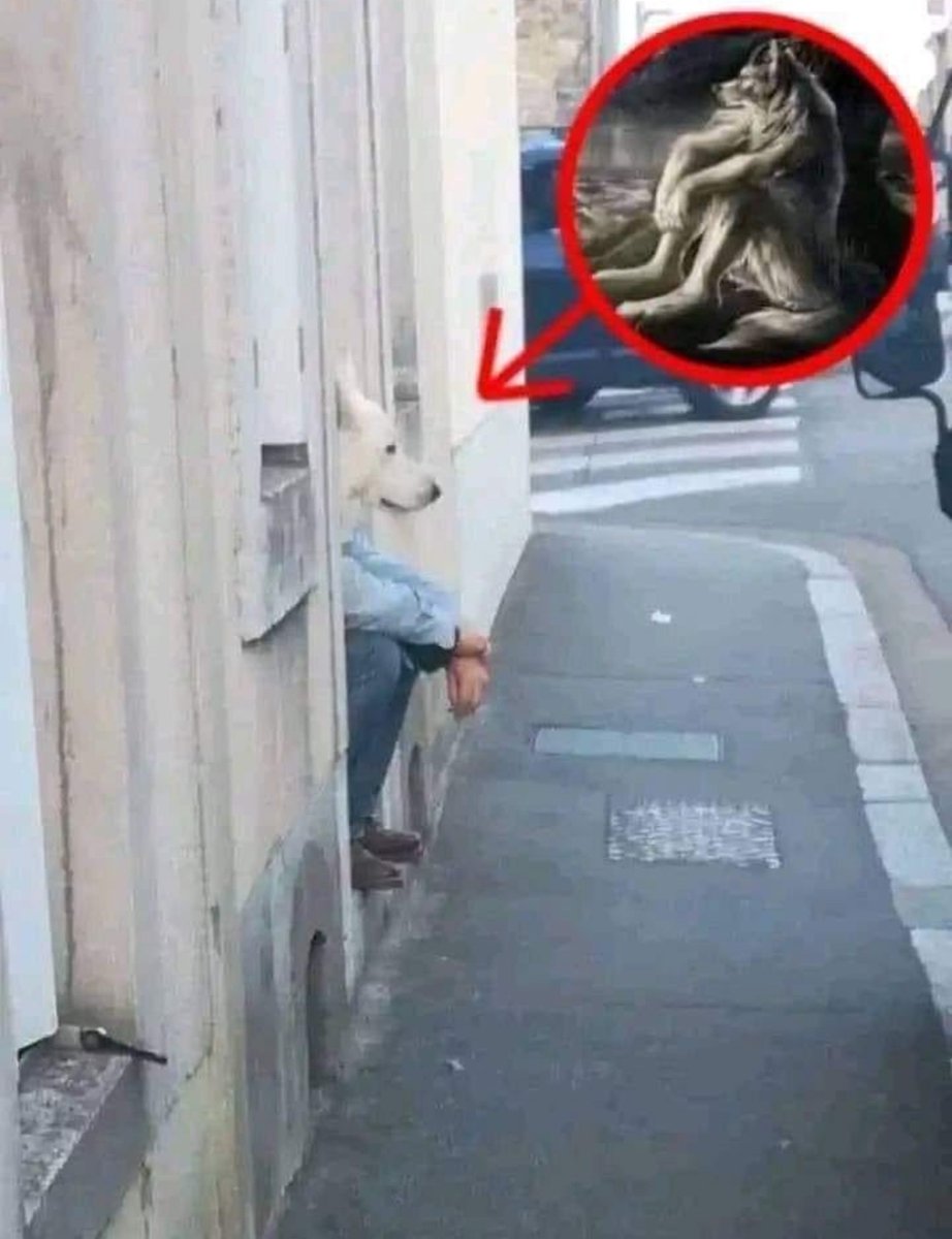 ShitpostGateway (@shitpostgate) on Twitter photo 