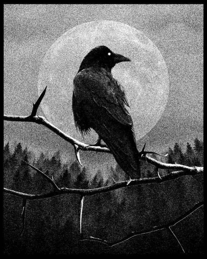 Black. (@blackdreamvibes) on Twitter photo 