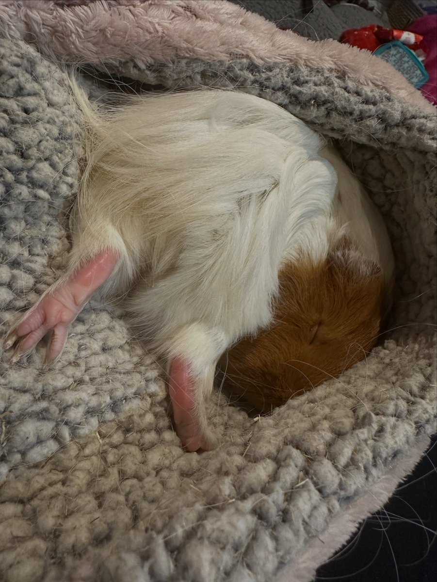 Sometimesredhead tweet media